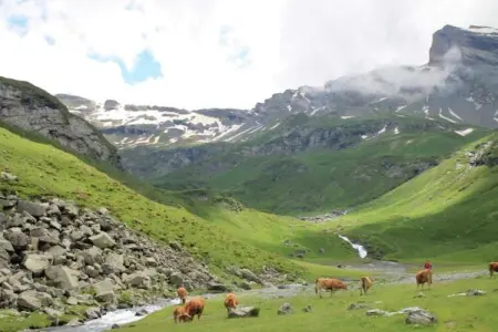 Gîte 1824, Villa vintage avec terrasse pricée à Artigat - Photo 23