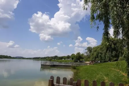 Gîte 1824, Villa vintage avec terrasse pricée à Artigat - Photo 28