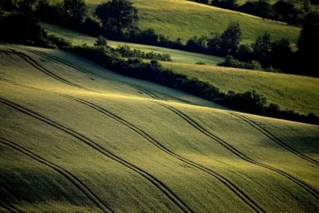 Gîte 1824, Villa vintage avec terrasse pricée à Artigat - Photo 36