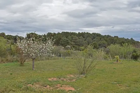 Villa Lézignan, Villa d'accueil avec piscine privée à Lézignan-Corbières - Photo 22