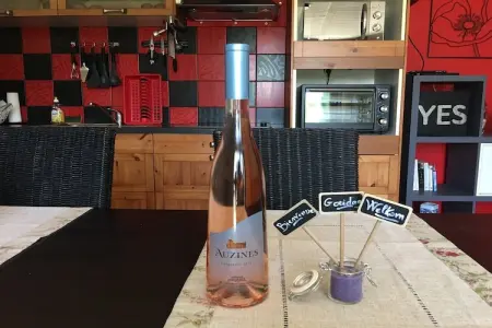 Villa Lézignan, Villa d'accueil avec piscine privée à Lézignan-Corbières - Photo 31