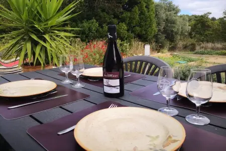 Villa Lézignan, Villa d'accueil avec piscine privée à Lézignan-Corbières - Photo 33