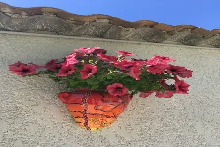 Villa Lézignan, Villa d'accueil avec piscine privée à Lézignan-Corbières - Photo 36