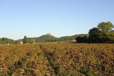 Azahia - TALAIRAN, Charmante maison de vacances à Talairan avec piscine - Photo 22