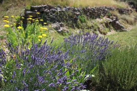 Azahia - TALAIRAN, Charmante maison de vacances à Talairan avec piscine - Photo 36