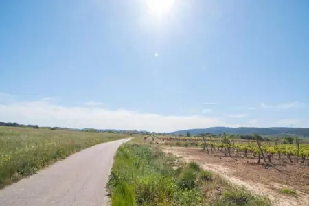 Montbrun-des-Corbières, Maison de vacances cosy à Montbrun-des-Corbières, piscine - Photo 39