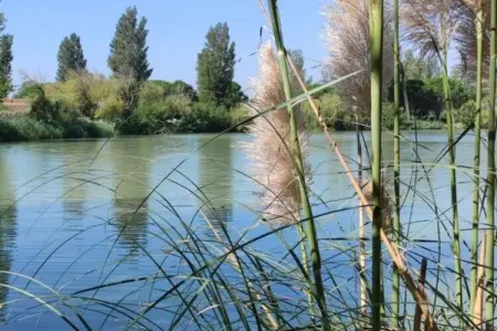 Le village Camarguais Les Gardians 3, Studio moderne et climatisé dans un domaine calme et naturel - Photo 25