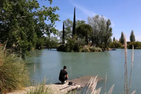 Le village Camarguais Les Gardians 4, Belle maison de vacances avec climatisation en Camargue - Photo 24