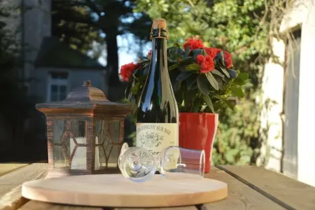 Ferme du hoguet, Charmante maison de vacances avec jardin à Osmanville - Photo 21