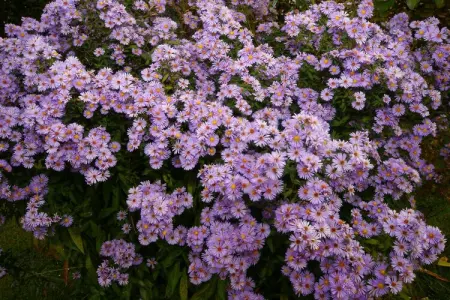 Villa Normande 10 pers, Jolie villa adaptée aux enfants à Bayeux - Photo 8