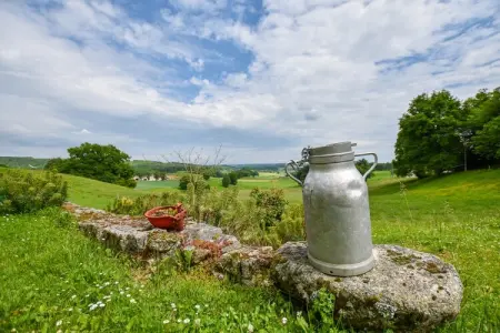 Le domaine d'Hypolite, Belle demeure en pierre avec jacuzzi, sauna et piscine dans le Cantal. - Photo 23
