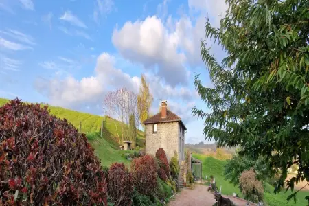Le domaine d'Hypolite, Belle demeure en pierre avec jacuzzi, sauna et piscine dans le Cantal. - Photo 24