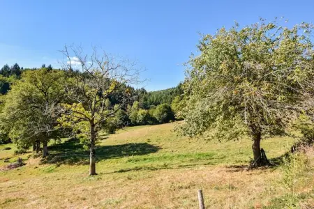 Authentique maison auvergnate, Maison de vacances de caractère avec terrasse en Auvergne - Photo 19