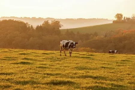 Authentique maison auvergnate, Maison de vacances de caractère avec terrasse en Auvergne - Photo 22