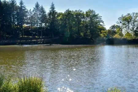 Authentique maison auvergnate, Maison de vacances de caractère avec terrasse en Auvergne - Photo 25