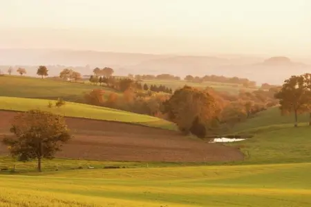 Authentique maison auvergnate, Maison de vacances de caractère avec terrasse en Auvergne - Photo 35