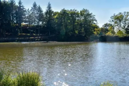 Maison de vacances - Sénezergues, Maison de vacances confortable avec jardin à Sénezergues - Photo 25