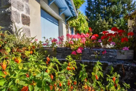 Maison près des volcans d'Auvergne, Maison de vacances spacieuse près des volcans d'Auvergne - Photo 39