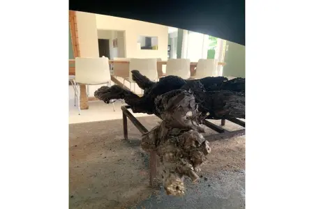 Villa Petite Champagne, Villa moderne avec piscine privée en Poitou-Charentes - Photo 21