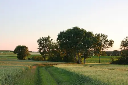 Villa Petite Champagne, Villa moderne avec piscine privée en Poitou-Charentes - Photo 22
