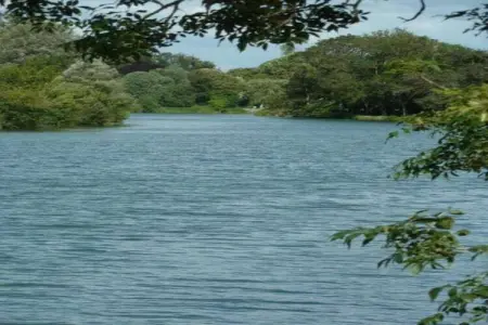 Villa Petite Champagne, Villa moderne avec piscine privée en Poitou-Charentes - Photo 25