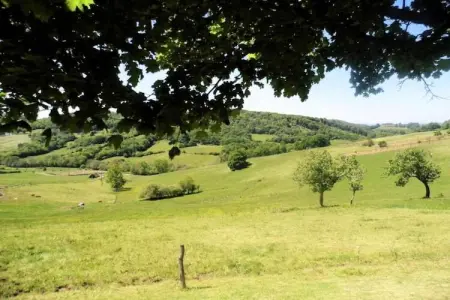 Les Deux Cabanons, Gîte pittoresque à Roziers avec terrasse - Photo 35