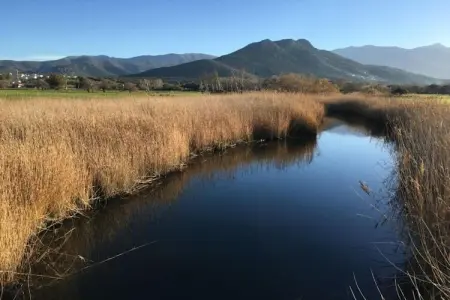 Résidence-Club les Villas Bel Godère 1, Maison de vacances d'été cosy dans le nord de la Corse - Photo 33