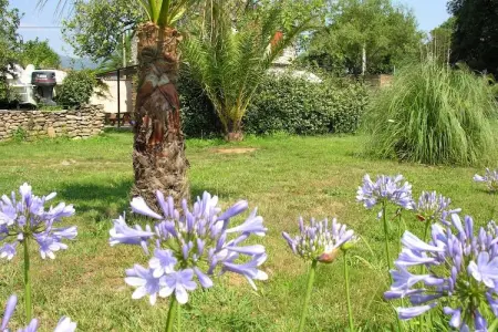 Cigale, Maison de vacances confortable avec piscine à Moriani-Plage - Photo 15