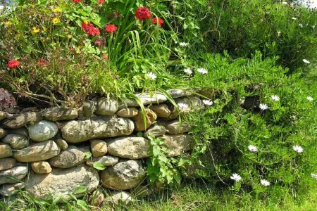 Le Vieux Pressoir, Belle maison restaurée près de Moriani-Plage avec piscine - Photo 22