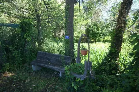 Le Vieux Pressoir, Belle maison restaurée près de Moriani-Plage avec piscine - Photo 24