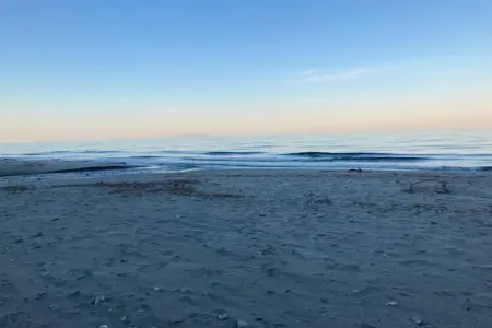 Le Vieux Pressoir, Belle maison restaurée près de Moriani-Plage avec piscine - Photo 32