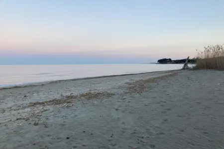 Le Vieux Pressoir, Belle maison restaurée près de Moriani-Plage avec piscine - Photo 33