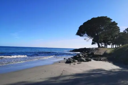Le Vieux Pressoir, Belle maison restaurée près de Moriani-Plage avec piscine - Photo 39