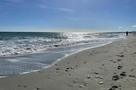 Résidence le Maquis Plage Type 1, Maison de vacances à Poggio-Mezzana, à 150 m de la plage - Photo 20