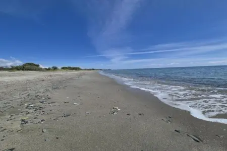 Résidence le Maquis Plage Type 1, Maison de vacances à Poggio-Mezzana, à 150 m de la plage - Photo 23