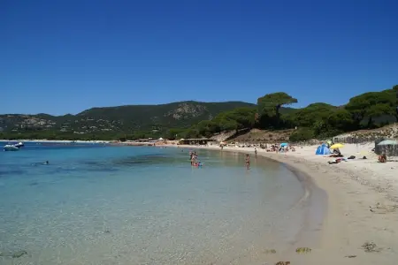 Résidence le Maquis Plage Type 1, Maison de vacances à Poggio-Mezzana, à 150 m de la plage - Photo 30