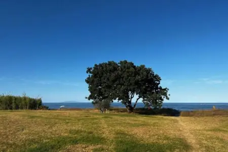Acqua Linda 1, Confortable maison de vacances méditerranéenne en Corse - Photo 36