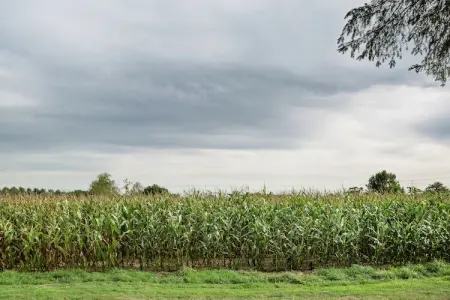 Jolie maison en pays de Rance, Maison de vacances spacieuse à Lanrelas avec jardin - Photo 35