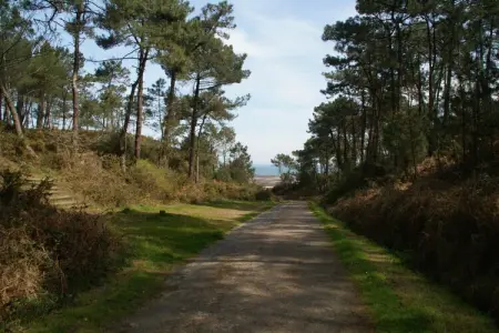 Maison de vacances A, Maison de vacances confortable jumelée à 700 m de la plage en Bretagne - Photo 15