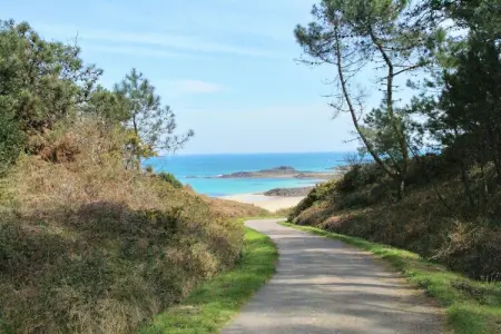 Maison de vacances A, Maison de vacances confortable jumelée à 700 m de la plage en Bretagne - Photo 16