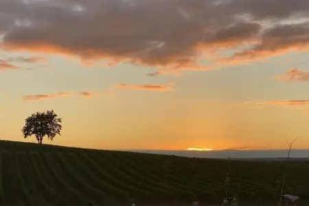 Résidence Le Clos des Vignes 3, Bel appartement dans une ville pittoresque de la Dordogne - Photo 20