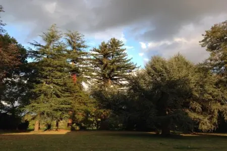 Résidence Le Clos des Vignes 3, Bel appartement dans une ville pittoresque de la Dordogne - Photo 22