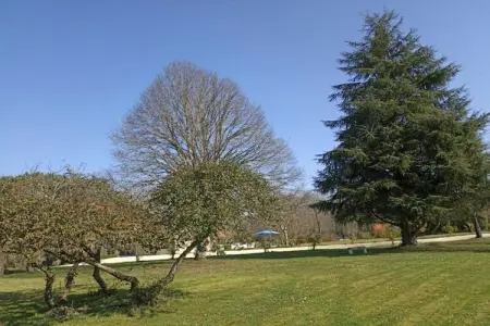 Résidence Le Clos des Vignes 3, Bel appartement dans une ville pittoresque de la Dordogne - Photo 24