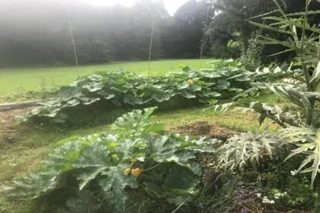 Résidence Le Clos des Vignes 3, Bel appartement dans une ville pittoresque de la Dordogne - Photo 26