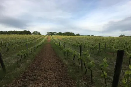 Circaud, Maison de vacances pittoresque à Grives avec piscine - Photo 34