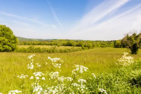 La Roseraie - Sens, Belle maison de vacances en Aquitaine près de la forêt - Photo 36