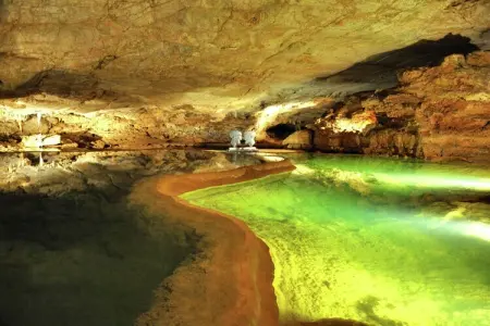 La Roseraie - Sens, Belle maison de vacances en Aquitaine près de la forêt - Photo 40