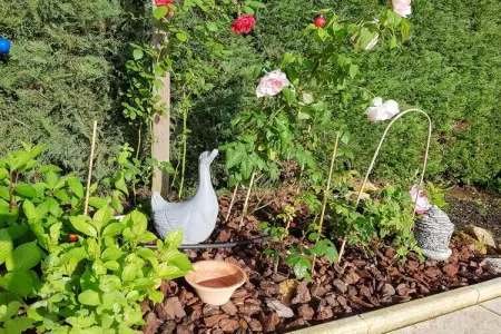 La Roseraie - Sens, Belle maison de vacances en Aquitaine près de la forêt - Photo 41