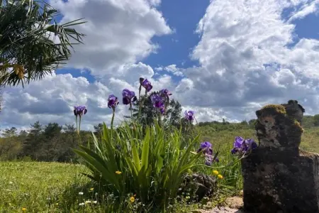 Les Côteaux de Sarlat 3, Duplex spacieux en terrasse dans le pittoresque Sarlat - Photo 18