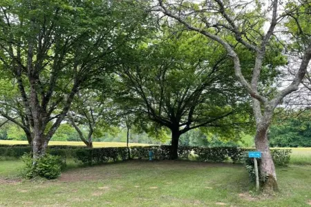 Les Côteaux de Sarlat 3, Duplex spacieux en terrasse dans le pittoresque Sarlat - Photo 24